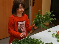 Palmstockbasteln in Ellar